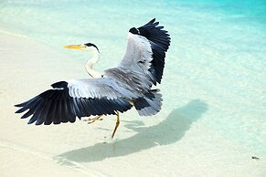 Ocean Beach Inn - Maldives