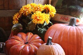 Crystal Cove Bed and Breakfast