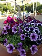 Bed & Breakfast Le Vele