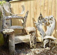 The Oasis by the Sea and Forest