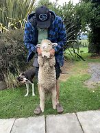 Cubby House Stay - Kaikoura