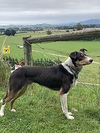 Cubby House Stay - Kaikoura