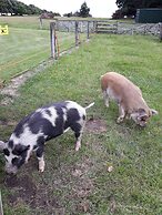 Cubby House Stay - Kaikoura