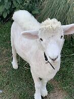 Cubby House Stay - Kaikoura