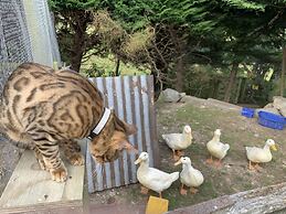 Cubby House Stay - Kaikoura