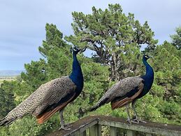 Cubby House Stay - Kaikoura