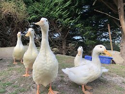 Cubby House Stay - Kaikoura