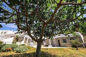 9 Muses Villas Mykonos