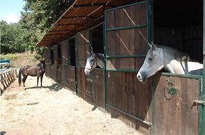 Agriturismo La Riserva Di Montebello