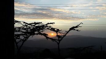 Patch of heaven - In Kiserian