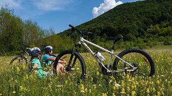 Argostoli Marina Suites