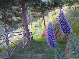 Hotel Jardim Atlantico