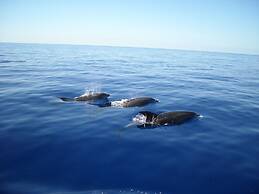 Hotel Jardim Atlantico