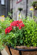 Richmond House Hotel