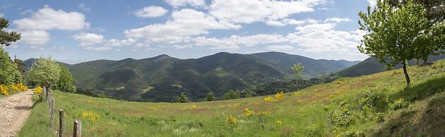 Chambres d’hôtes, Gîte, Suite : “Au Hangar ”