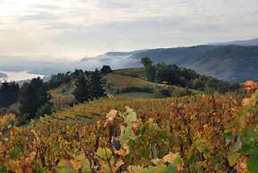 Chambres d’hôtes, Gîte, Suite : “Au Hangar ”