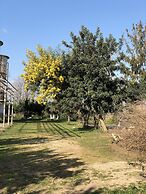Decriresort