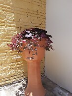 Pousada Aconchego da Chapada