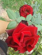 Pousada Aconchego da Chapada