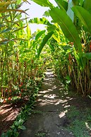 Suites de Charme Amoremio