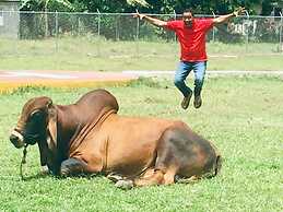 Hotel Rancho Guacamayos