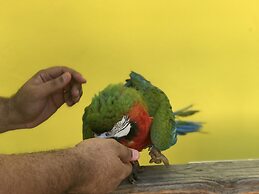 Hotel Rancho Guacamayos