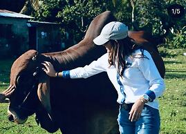 Hotel Rancho Guacamayos