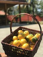 Hotel Rancho Guacamayos