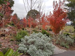 Outlook Hill Vineyard Cottages