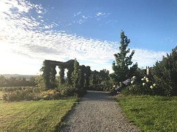 Outlook Hill Vineyard Cottages