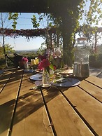 Outlook Hill Vineyard Cottages