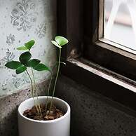 Civil Life Guesthouse Tainan