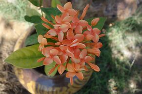 Lei Thar Gone Guest House