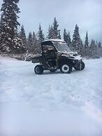 Alaska log cabins on the pond B & B