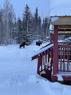 Alaska log cabins on the pond B & B