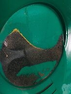 Alaska log cabins on the pond B & B