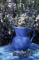 Verdidea - SOTTO COLLE