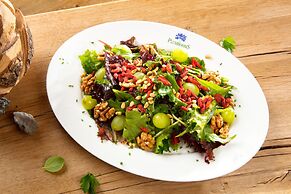 Aussichtsreich Gast- und Logierhaus