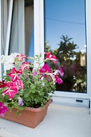 Alexandra Apartments