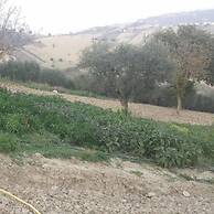 Agriturismo La fortezza