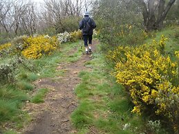 Kosciuszko Tourist Park