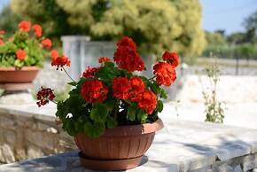 B&B Trulli Dal Conte