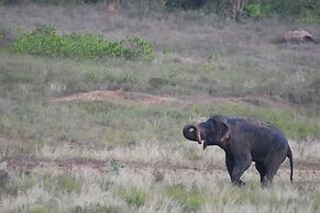 Explorer by Eco Team- Gal Oya National Park