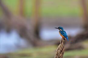 Explorer by Eco Team- Gal Oya National Park
