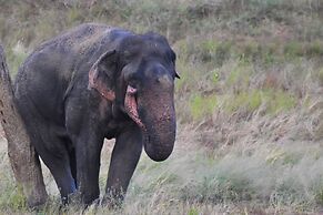 Explorer by Eco Team- Gal Oya National Park