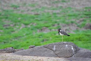 Explorer by Eco Team- Gal Oya National Park