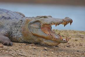 Explorer by Eco Team- Gal Oya National Park