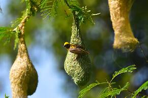 Explorer by Eco Team- Gal Oya National Park