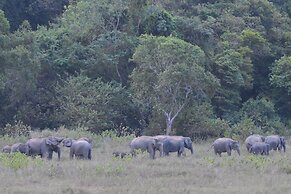 Explorer by Eco Team- Gal Oya National Park