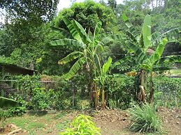 ritashomeawayfromhome